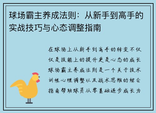 球场霸主养成法则：从新手到高手的实战技巧与心态调整指南